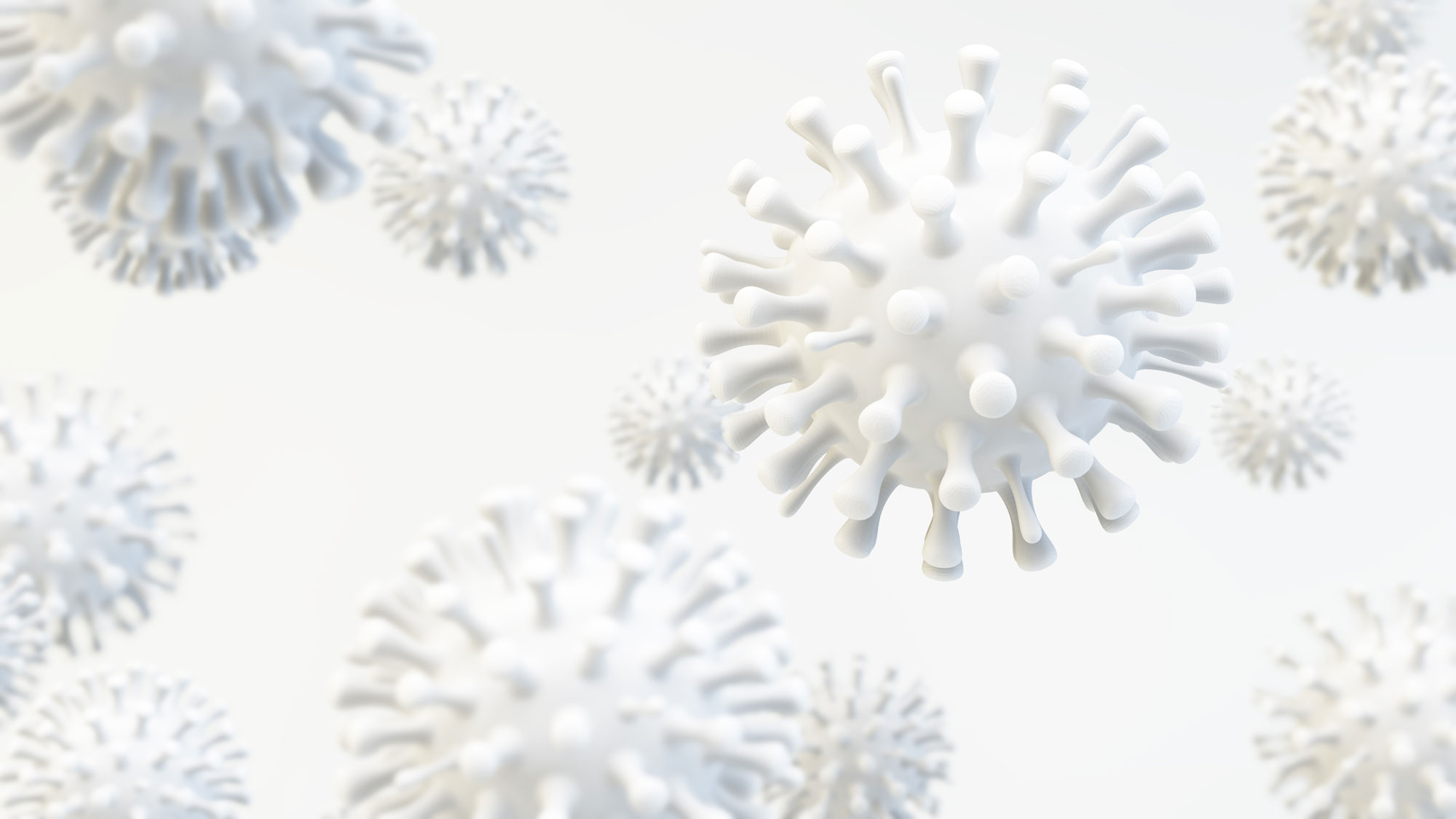 virus
