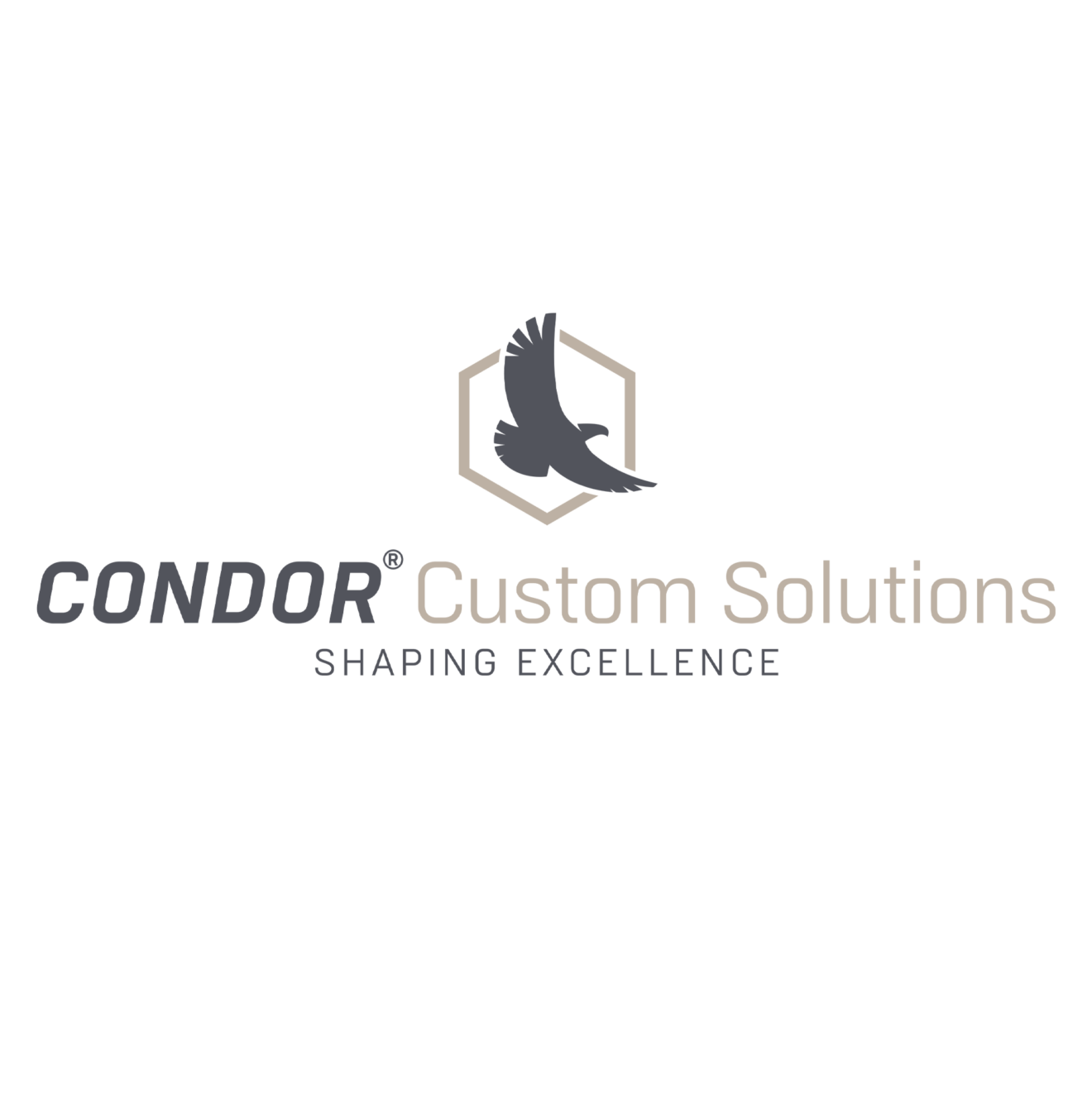 News Condor Group