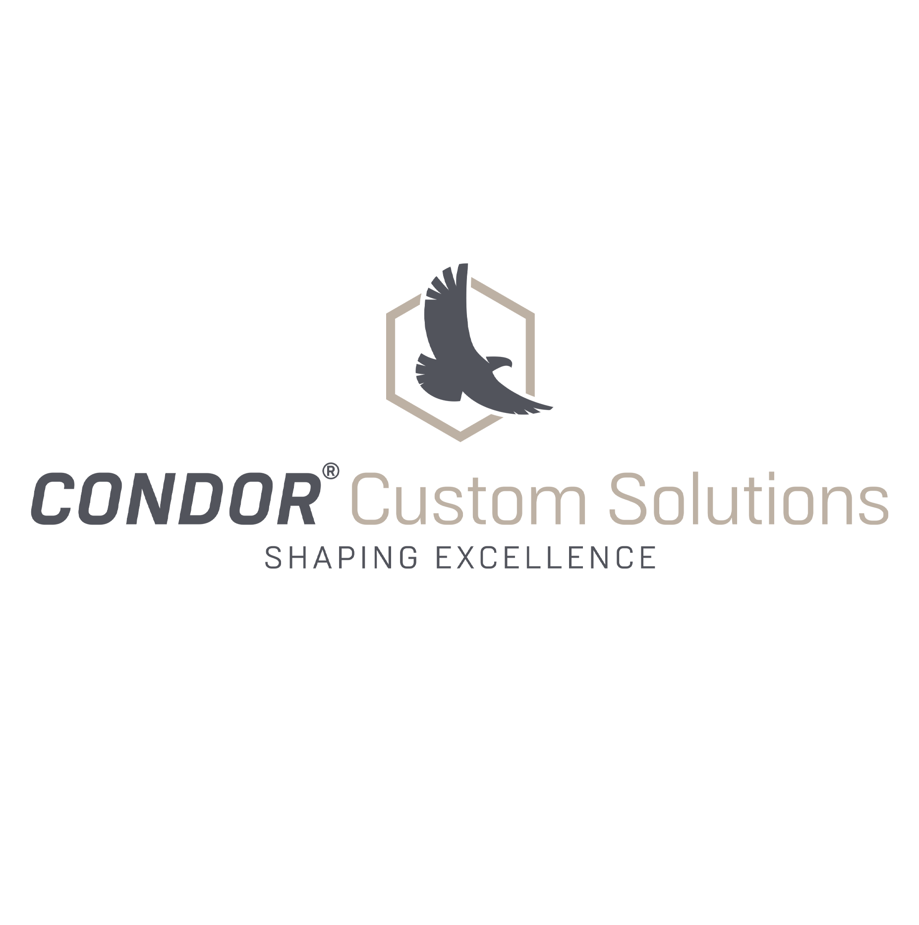 Intranet Condor Group