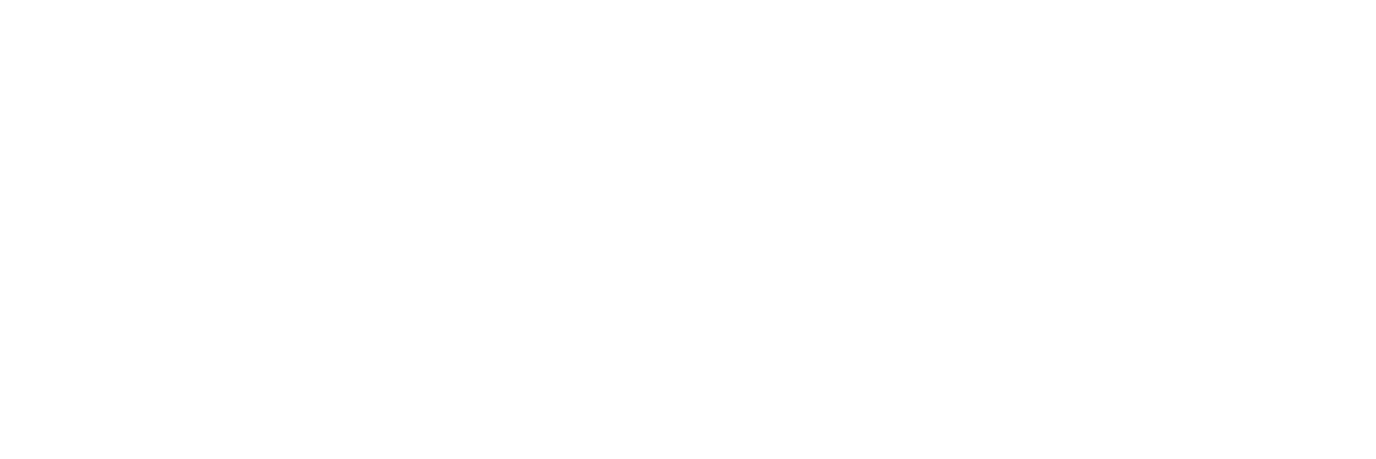 Logo_Condor_CustomSolutions