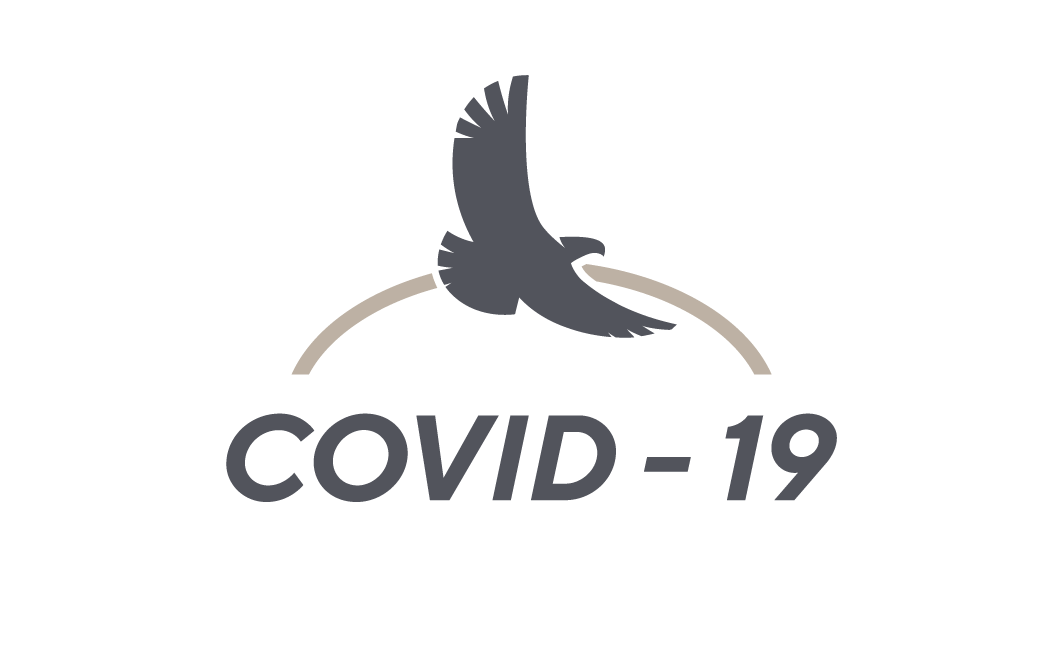 Covid 19 Condor Group